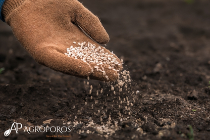 How Advanced Manufacturing Technology Is Shaping Animal-Derived Amino Acid Production